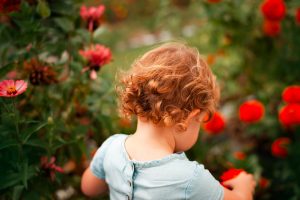 garden plants flowers