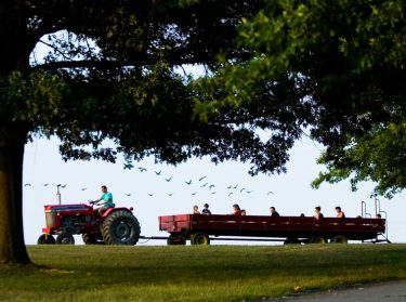 hayrides