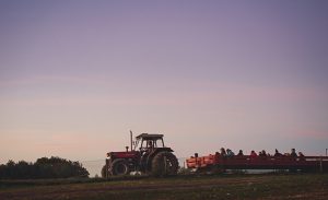 hayride