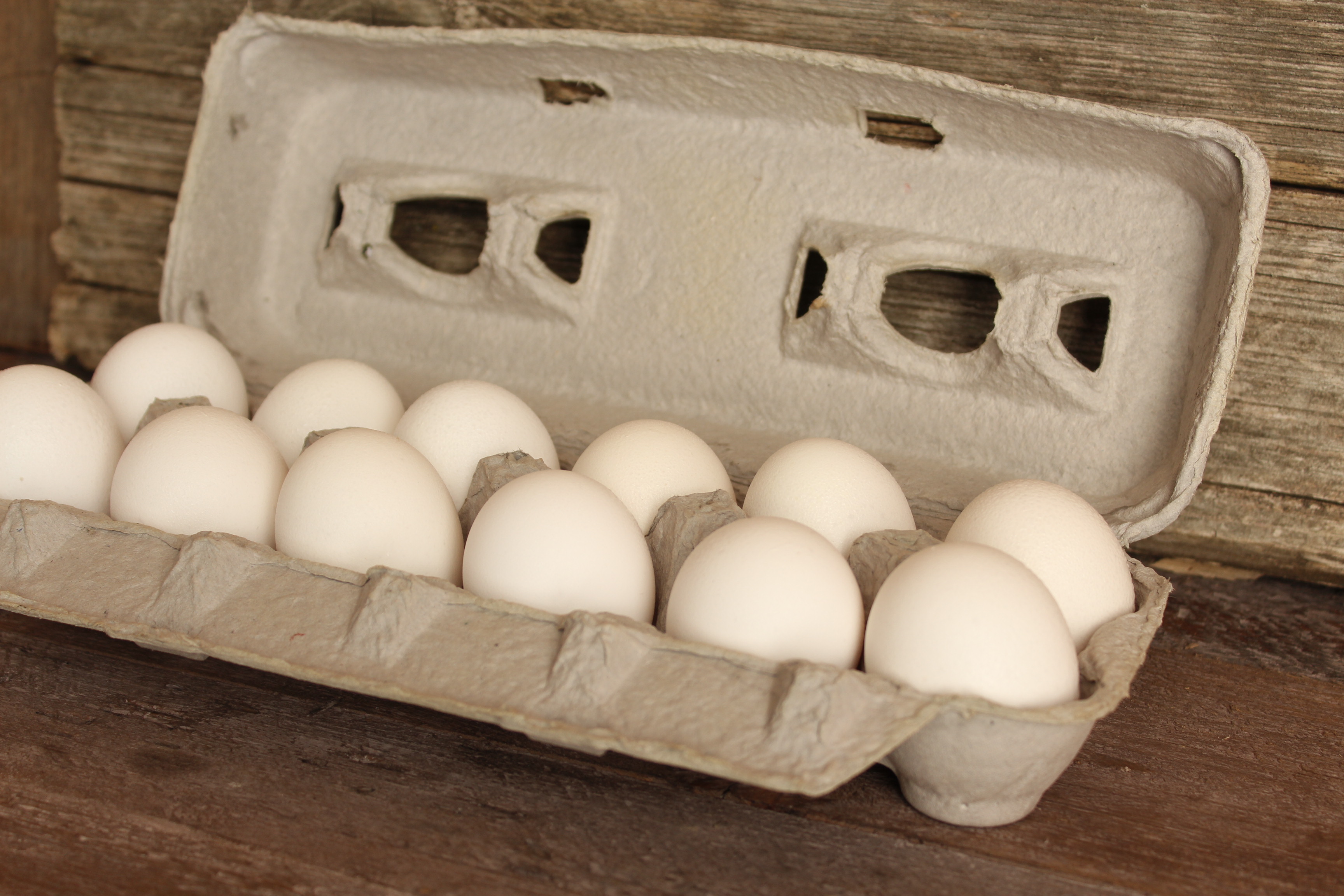 Eggs-White Eggs (Large) 1 dozen – Linvilla Orchards