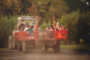 hayride