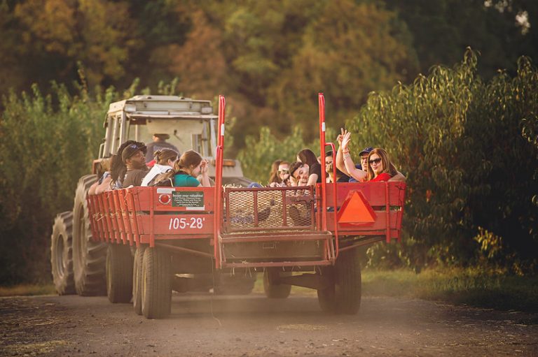 Daytime Private Group Hayrides – Linvilla Orchards