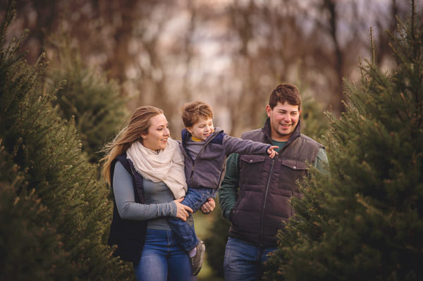 Christmas Trees, family, winter