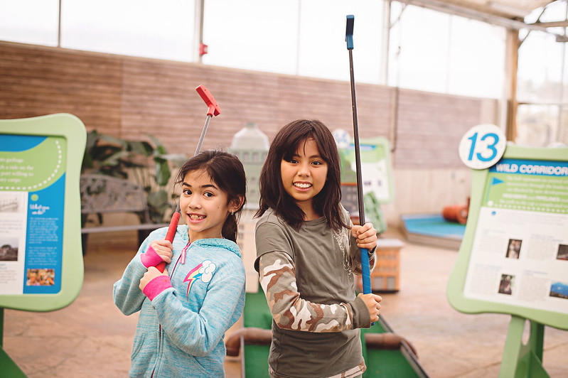 Indoor Mini Golf