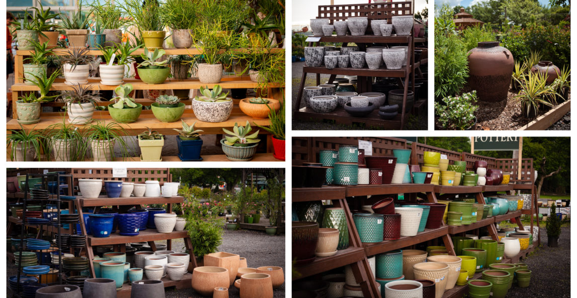 30 % off Outdoor Pottery